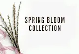 SPRING COLLECTION